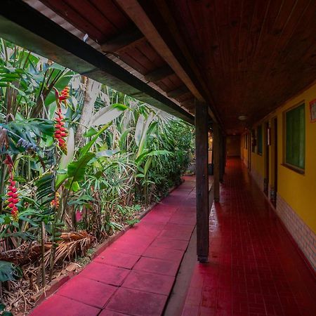Hosteria Los Helechos Puerto Iguazú Eksteriør bilde