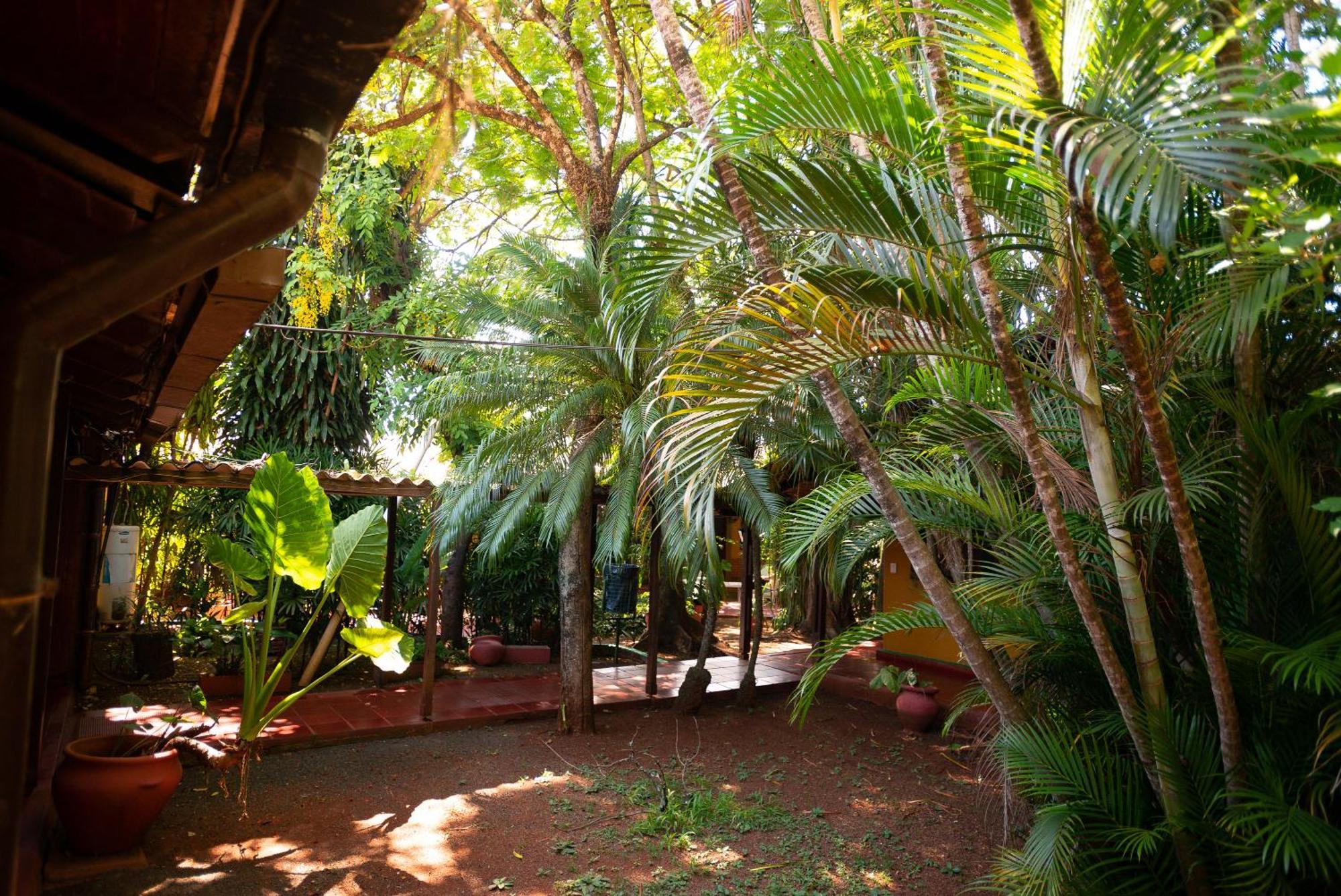 Hosteria Los Helechos Puerto Iguazú Eksteriør bilde